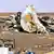 Trümmer des abgestürzten Airbus auf dem Sinai (Foto: dpa)