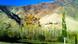 Herbst Bäume Natur Landschaft Herbst Bäume Natur Landschaft