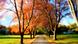 Herbst in Massachusetts Herbst in Massachusetts