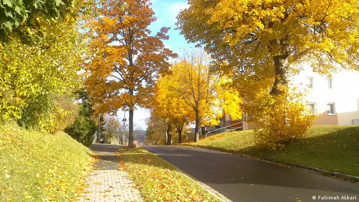 Herbstliche Straße in Pegnitz, Bayern