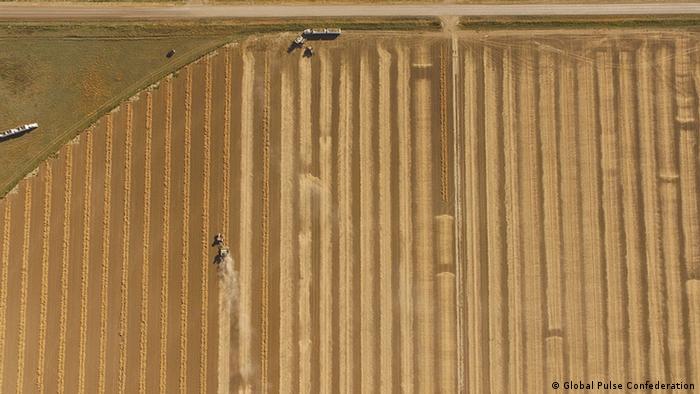 Birds eye view of a field being cultivated