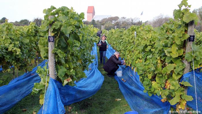 Galerie - Der Klimawandel und seine Folgen