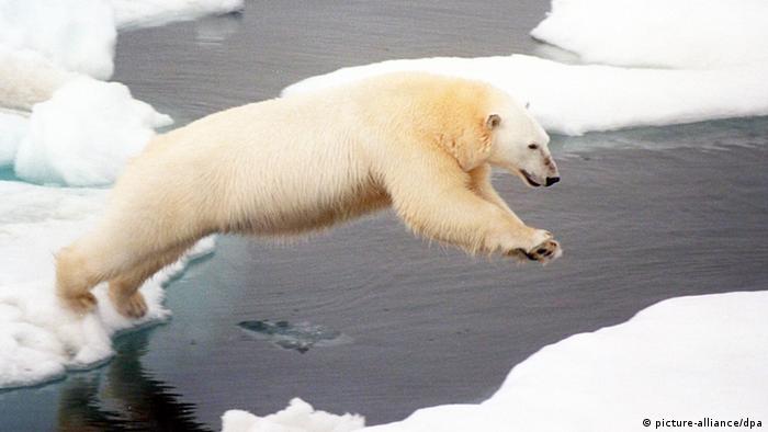 Galerie - Der Klimawandel und seine Folgen