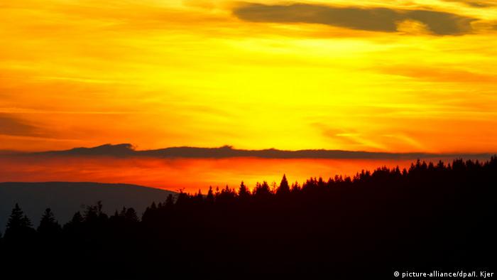 Шварцвальд