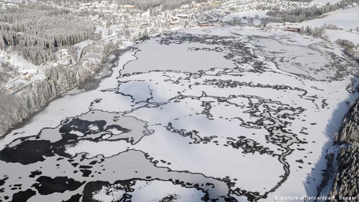 Шварцвальд