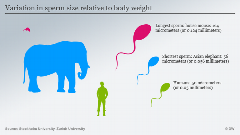 Porno filmlar onlayn rus tiliga tarjima Onam oglining qozini soradi