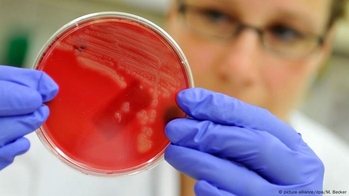 Neues Bakterium entdeckt MCR-1 Antibiotikaresistenz