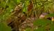 Artikelbild Costa Rica Artikelbild Costa Rica
