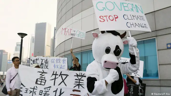 Hong Kong Paris Anti Klimawandel Demonstration 