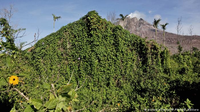 Indonesien Vulkan Sinabung verlassene Dörfer