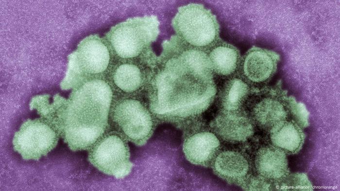 A close up of the H1N1 swine flu virus