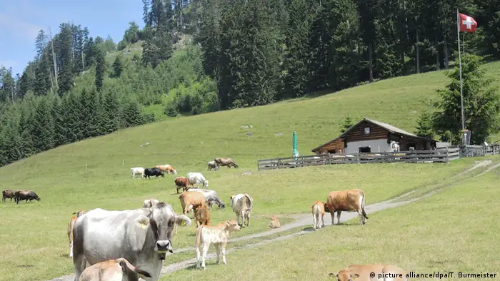 Schweiz Heidis Welt Ochsenberg Hütte und Alp