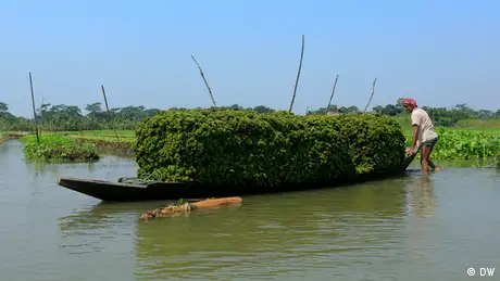 Bangladesch schwimmende Gärten