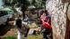 Central African Republic violence Central African Republic violence