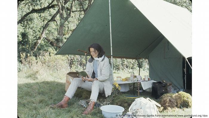 Dian Fossey Begraben Bei Den Berggorillas Wissen Umwelt Dw 27 12 2015