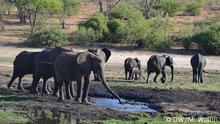 Südliches Afrika Kaza Naturschutzgebiet