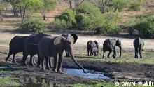 Südliches Afrika Kaza Naturschutzgebiet