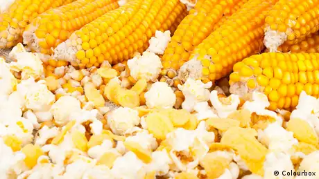 Ernährung - Mais und Popcorn