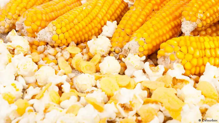 Ernährung - Mais und Popcorn