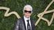 Karl Lagerfeld British Fashion Awards 2015 Karl Lagerfeld British Fashion Awards 2015