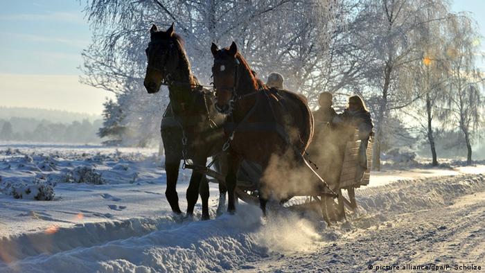 Ein Pferdeschlitten fährt durch eine verschneite Landschaft 
