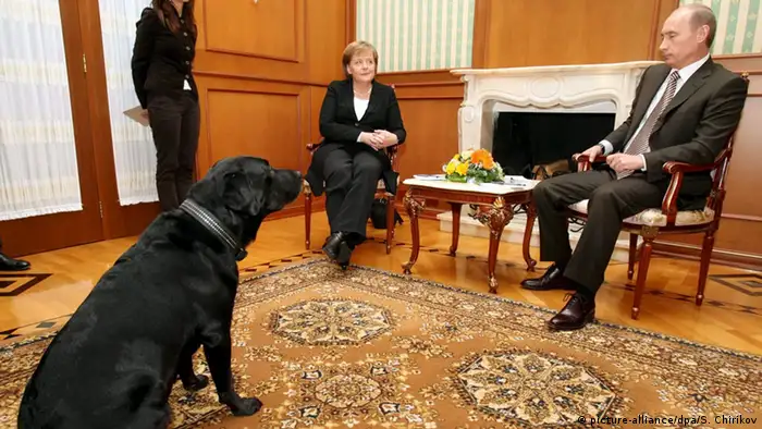 Merkel and Putin sit at a table in Sochi with Putin's dog looking on (picture-alliance/dpa/S. Chirikov)