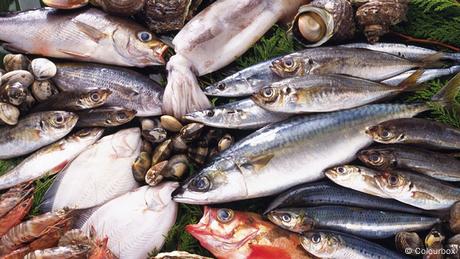 Meeresfrüchte und Fische