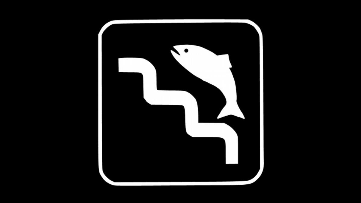 Why fish need ladders – DW – 01/25/2016