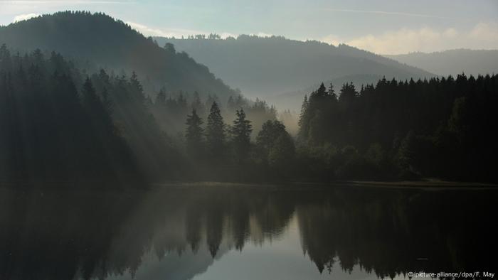 Reservoir on the Zyoze River