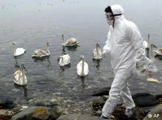 希腊对禽流感采取紧急措施