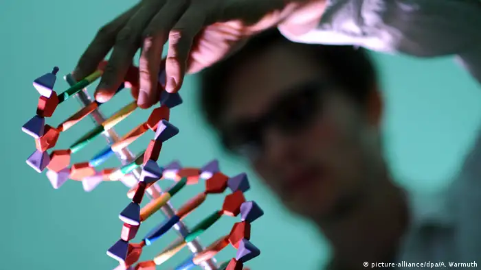 DNA-Model Doppelhelix