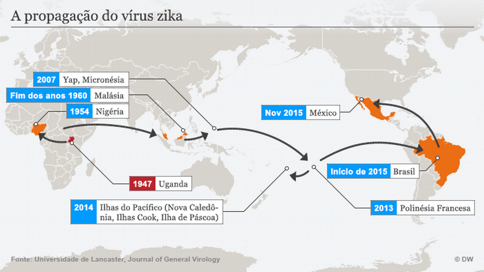 OMS prevê 4 milhões de casos de zika nas Américas em um ano