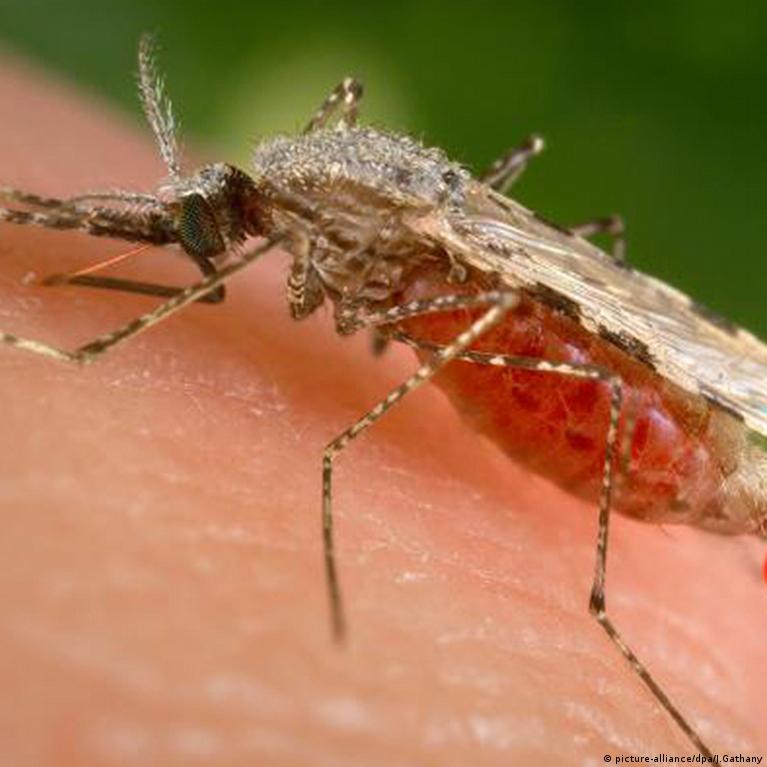 Qizlar eshaklarida barmoq porno Yosh porno erotika