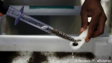 WHO: Cutar Zika ta bayyana a Afirka
