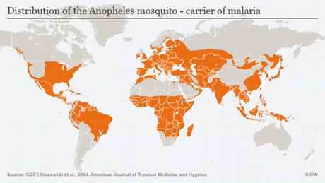 Infografik Anopheles-Mücke Verbreitung Englisch