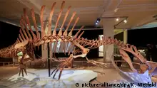 Deutschland Sonderausstellung Spinosaurus