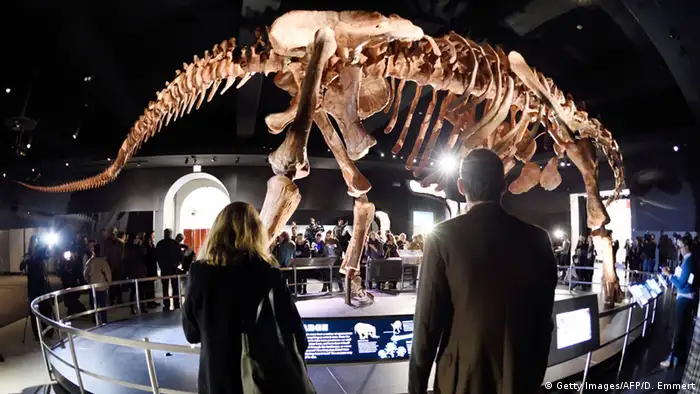 USA Sonderausstellung Titanosaurus