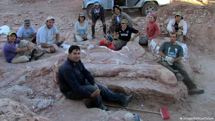 Argentinien Riesendinosaurier entdeckt