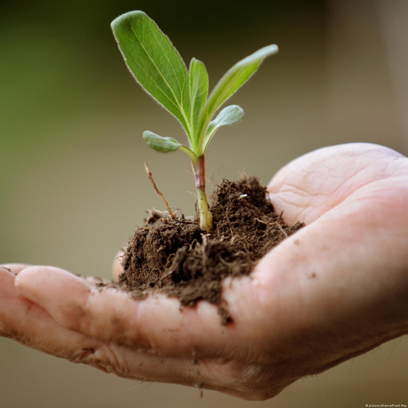 Living Planet: Some greats from a grueling year
