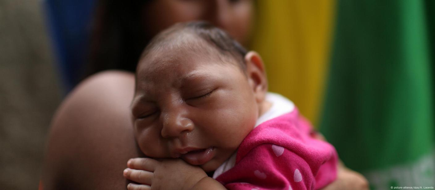 OMS prevê 4 milhões de casos de zika nas Américas em um ano