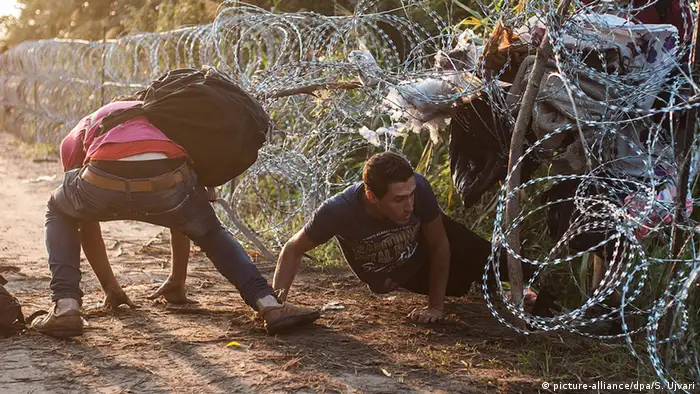 Grenze Ungarn - Serbien - Flüchtlinge (picture-alliance/dpa/S. Ujvari)