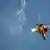 Israel F-16 Jet Kampfflugzeug