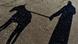 Shadow of a dog and its owner. Shadow of a dog and its owner.