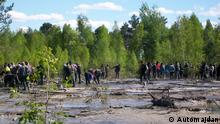 Бурштинова лихоманка загрожує Україні екологічною катастрофою