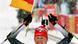 Biathletin Kati Wilhelm schwenkt die deutsche Flagge (Foto: AP) Biathletin Kati Wilhelm schwenkt die deutsche Flagge (Foto: AP)