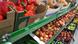 Продукты на полках в московском супермаркете Продукты на полках в московском супермаркете