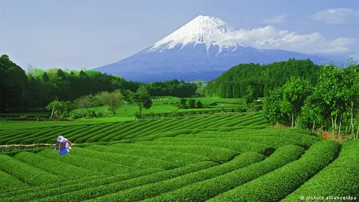 Tourismus in Japan nach Fukushima Berg Fuji in Honshu
