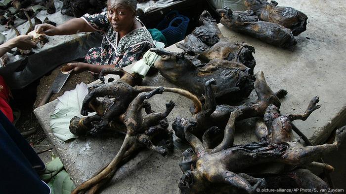 Kongo Kisangani Bushmeat auf dem Markt (picture-alliance/AP Photo/S. van Zuydam)