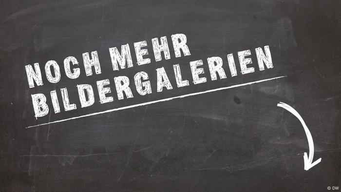 Noch mehr Bildergalerien
