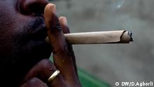 In this pictures you see how marijuana is handled and smoked generally. DW/D.Agborli